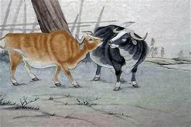 烧香能看出来什么