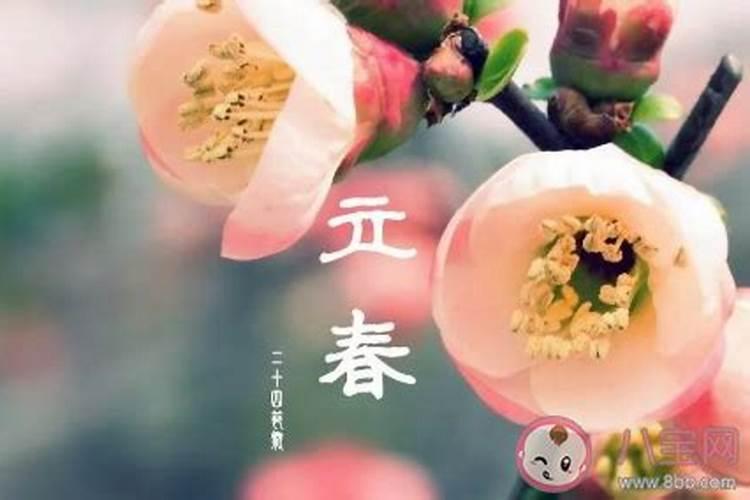 竖蛋是立春节气的风俗活动