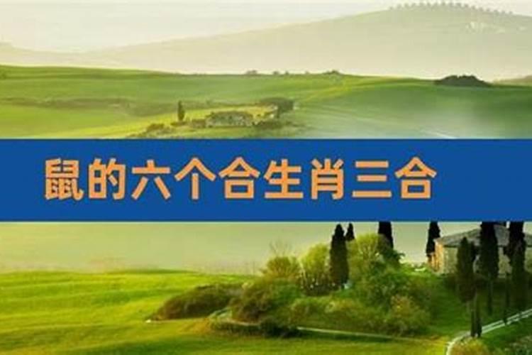 张牙舞爪成语接龙接什么