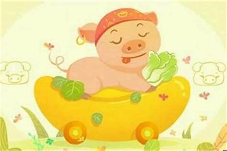 结婚属猪和什么属相好