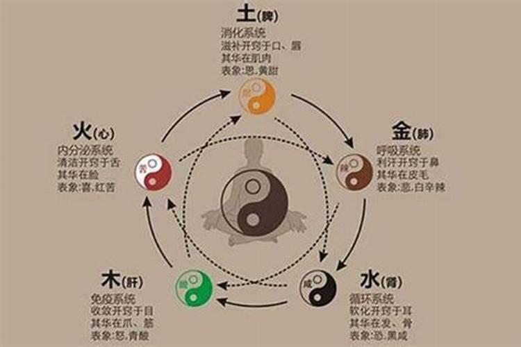 女人助事业运佩戴什么