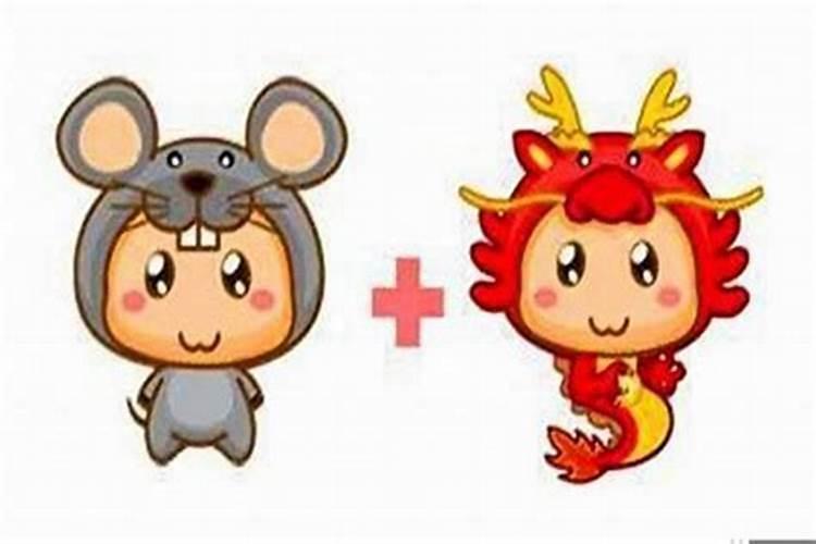 属鼠的与属龙的八字硬吗 结婚怎么样？