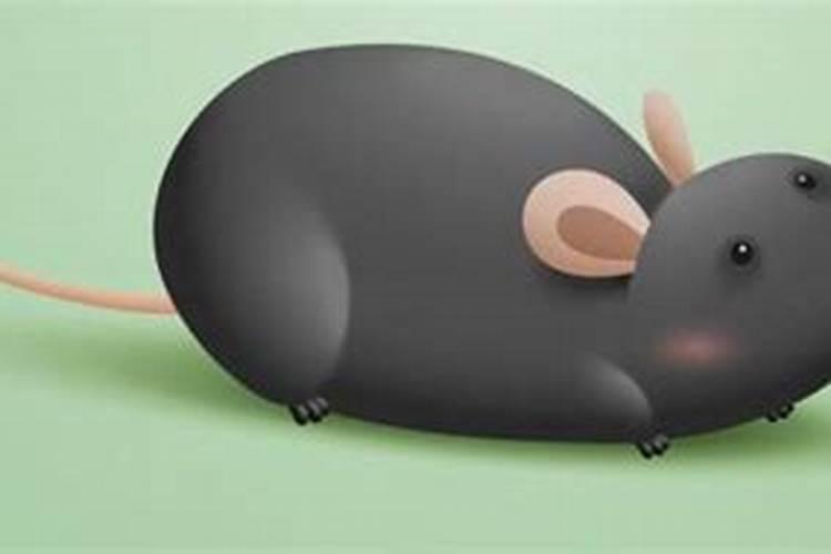 梦见老板来自己家的预兆