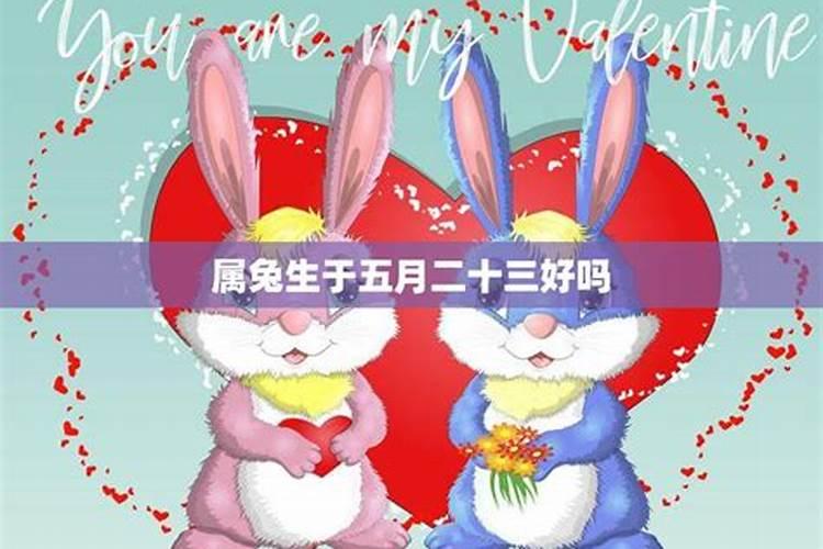兔年生在哪个月好