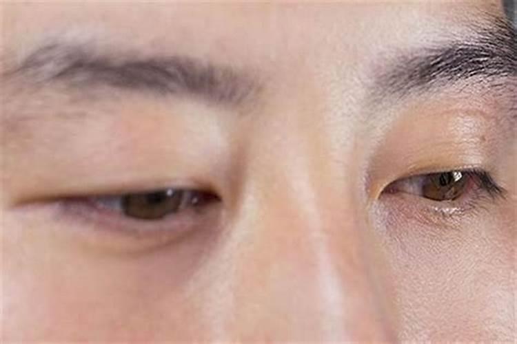 犬吠一方扰路人,鸡鸣四更改明,八字注定坎坷路,走完雨雪又寒冰。请问这...