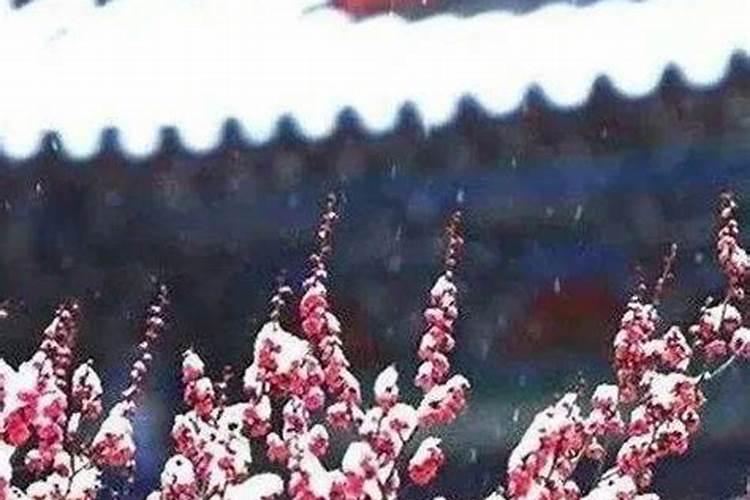 寒冬腊月里的冬是指 寒冬腊月里的冬是指什么