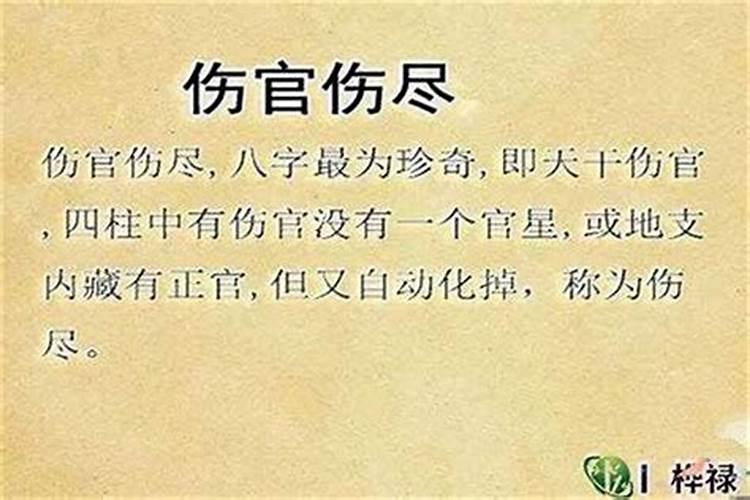 八字中伤官和劫财的关系
