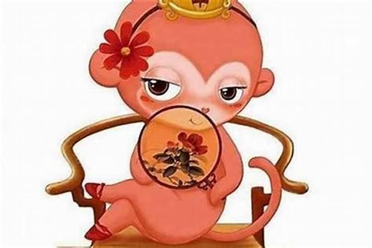 男猴配什么属相最好