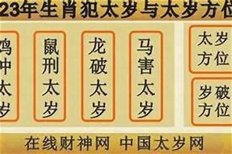 我想问一下清明节为什么用鲜花