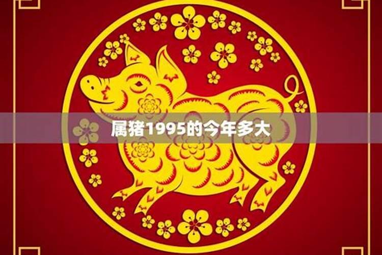 虎年生肖猴如何化解 属猴的人虎年运势