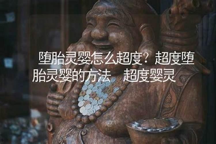 属猪的多大年龄2024年