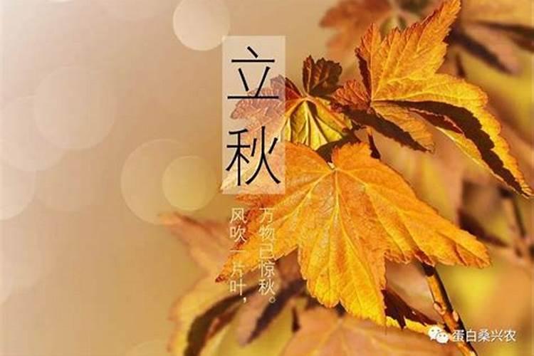 立秋有什么特点