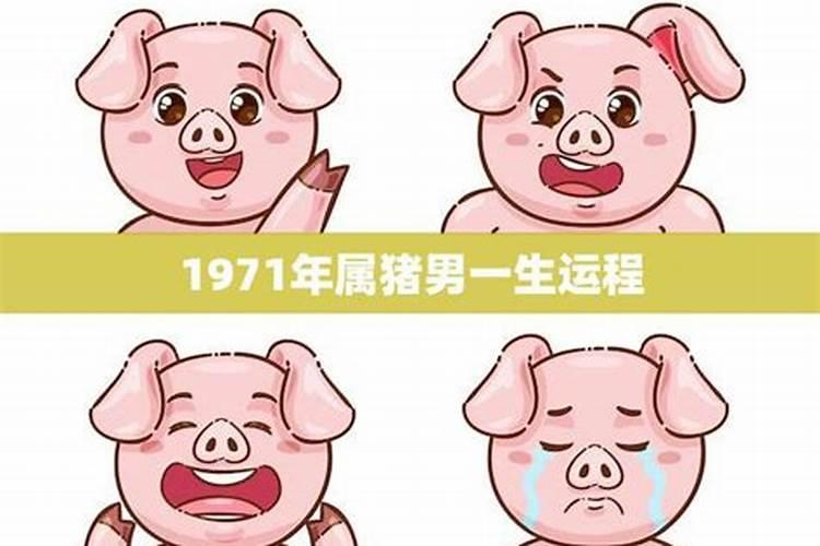 生肖猴1980年2025年运势如何 生肖猴1980年2025年全年运势