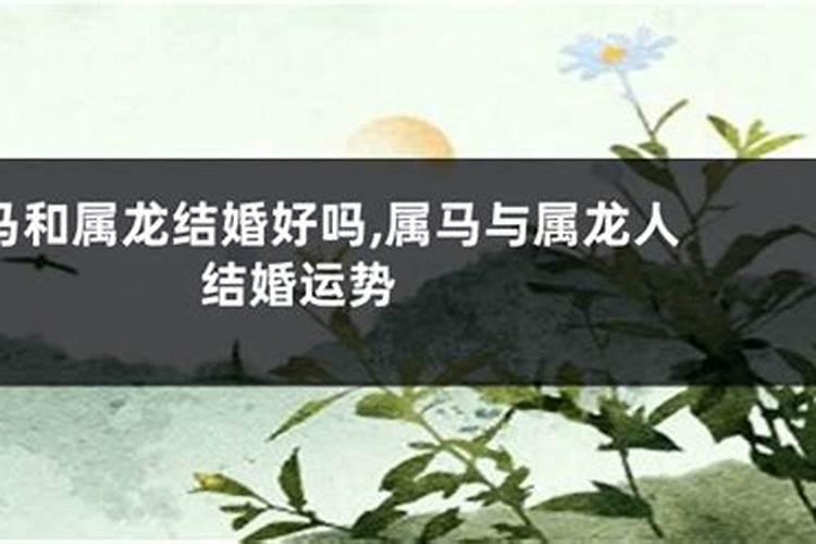 女属马本命年结婚可以吗