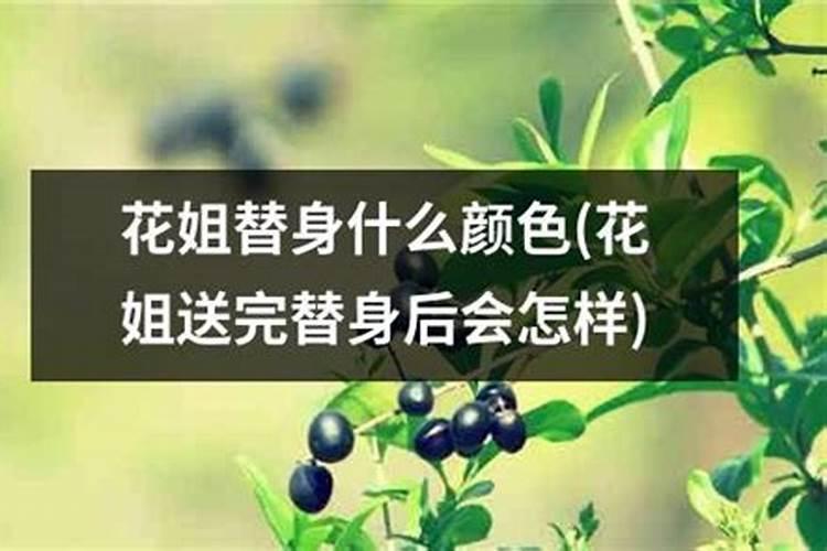 男属鸡和女属羊的在一起婚配怎么样