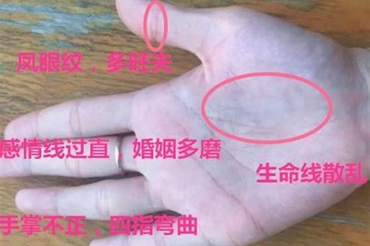 属鸡男和属羊女的婚姻好不好