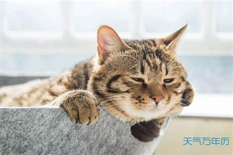 水晶柱放文昌位有什么作用