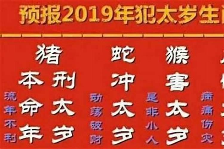 猪年犯太岁的生肖2019犯太岁的生肖化解？