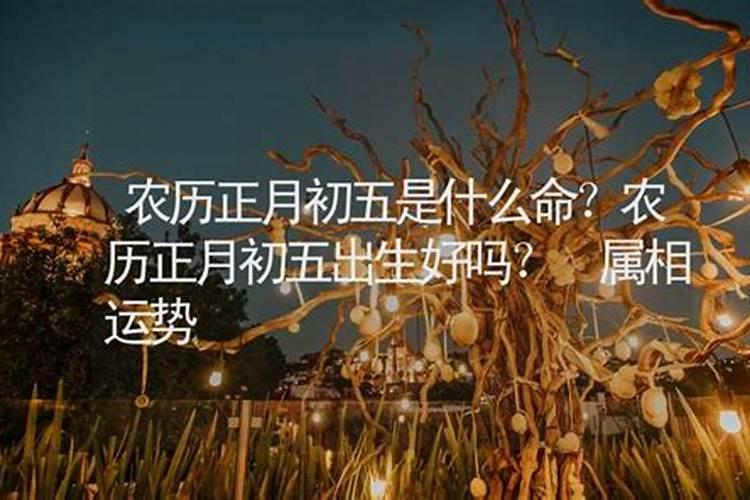 男生农历二零二三年正月初五紫薇命盘算命
