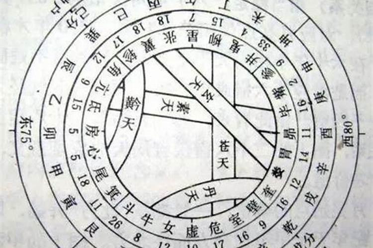 丁己蛇男可以和乙卯兔女一起吗？