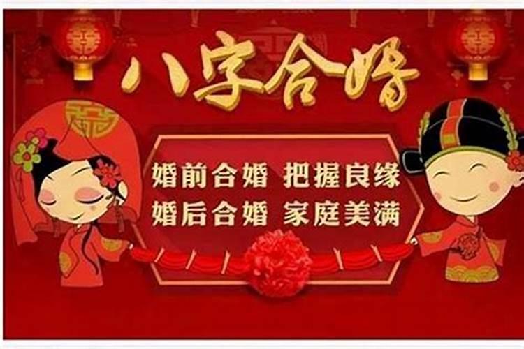 诸葛长青:怎样放生？这就是放生的仪轨