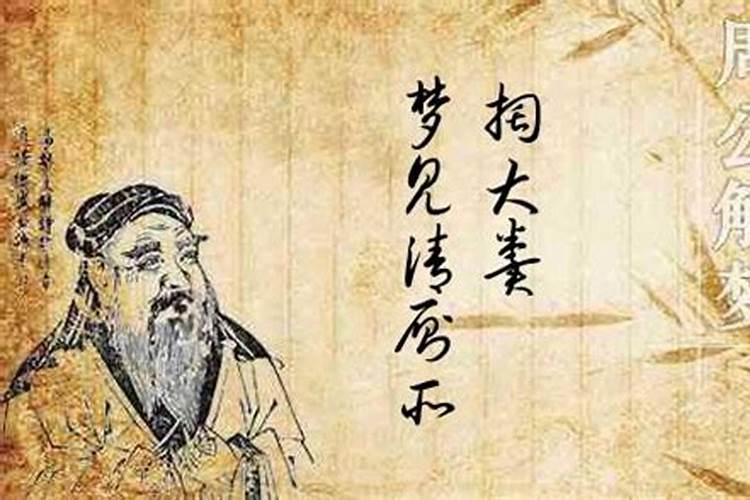 太岁 好养吗。我想养一个。哪有卖的。