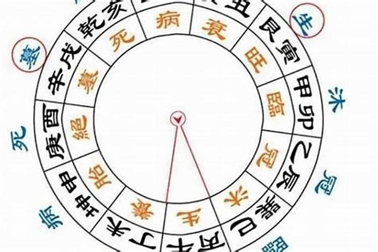 意外怀孕了怎么办哦？整个手术下来大概总共要花费多少钱的啊？ 