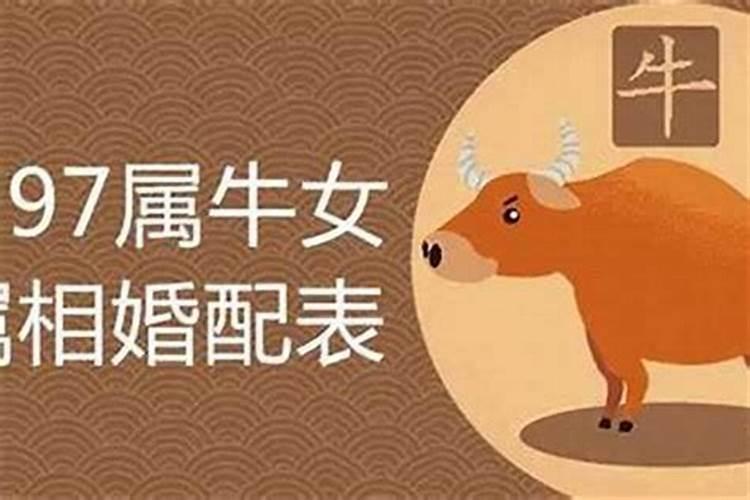 八字怎么才算合,八字要几个字合到才算好呢？