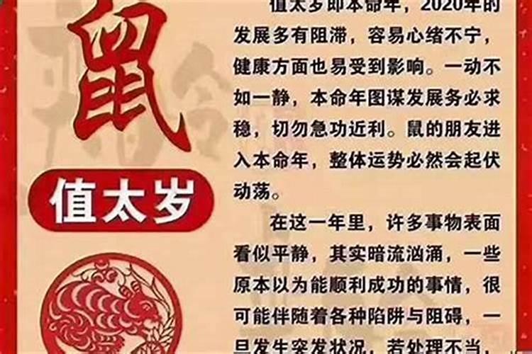 重阳节从什么时候开始被定为老人节