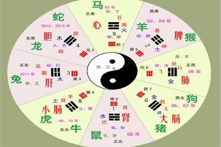婚配五行和属相哪个准
