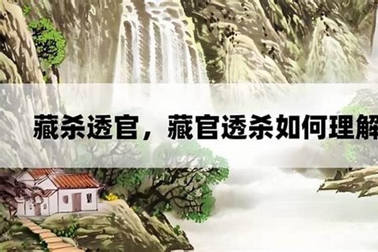 八字天干无官杀透,日坐七杀,月支、日支各藏一个七杀,时支藏正官。这种...
