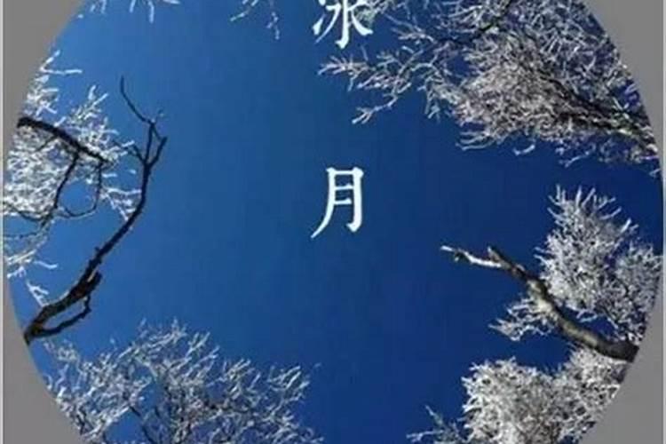 2025年犯太岁属相是哪五个
