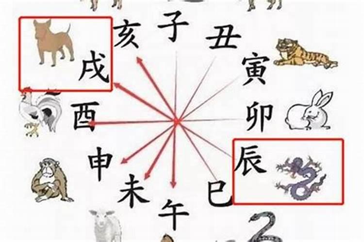 华盖是什么意思,华盖的查法是怎样的？