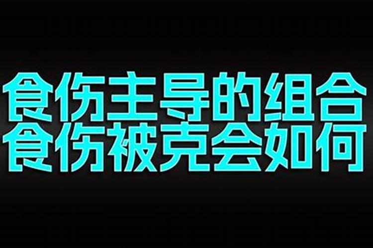 状元的八字特征的生活