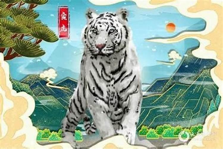 86年虎男2025年运势及运程
