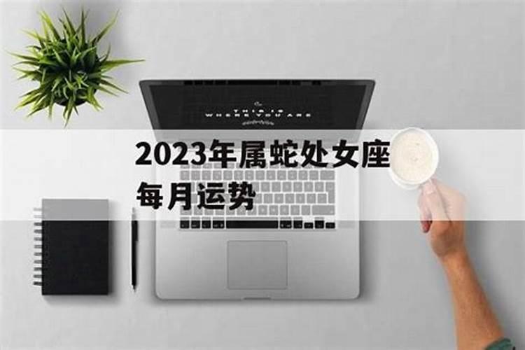 属蛇的处女座男的性格怎么样