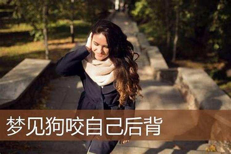 梦见狗咬后背是什么意思？