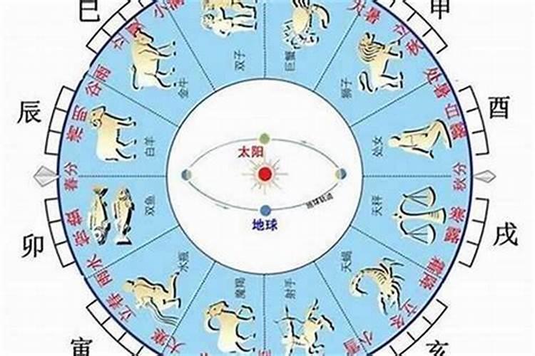 看八字算命依纳音五行还是地支五行