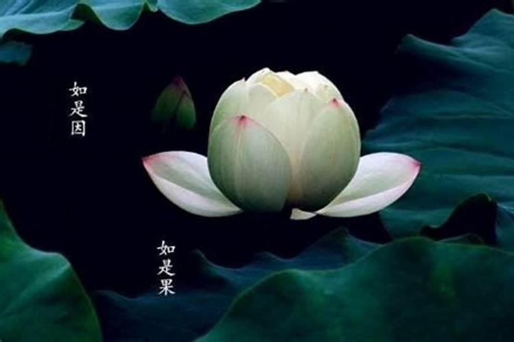 一万贯是多少个纸元宝