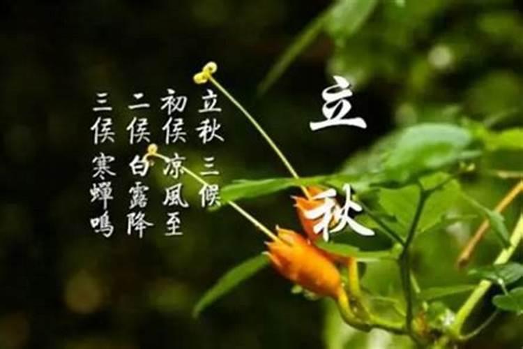 立秋的风俗有哪些
