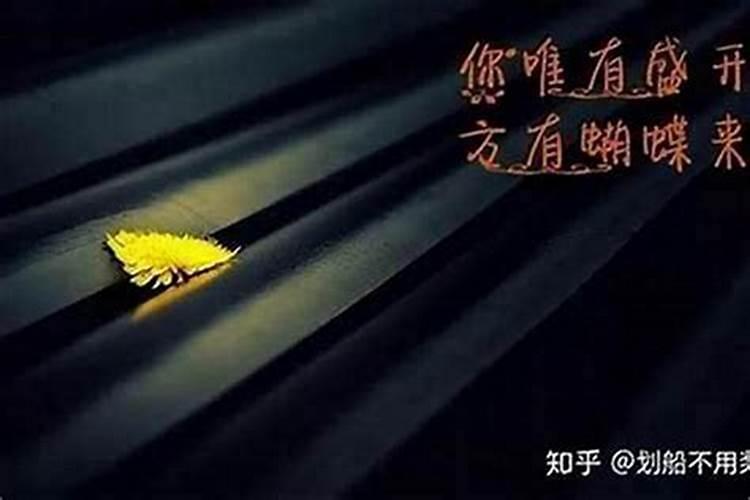 今年本命年,做生意很不顺利,开车还出车祸,有办法破解吗,怎么转运