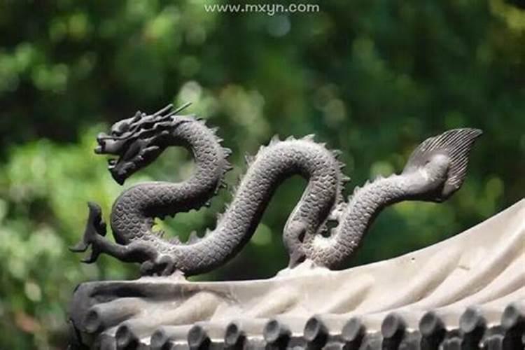 梦见地上有一条龙在爬行是什么意思？
