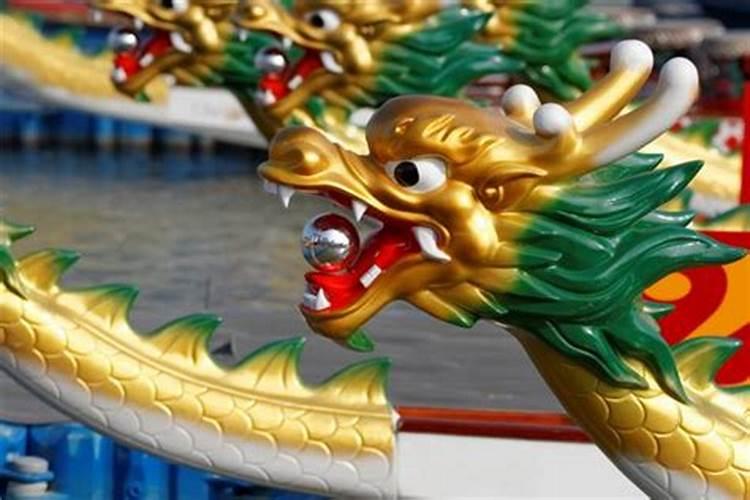 梦见龙象蛇一样在地上爬的预兆