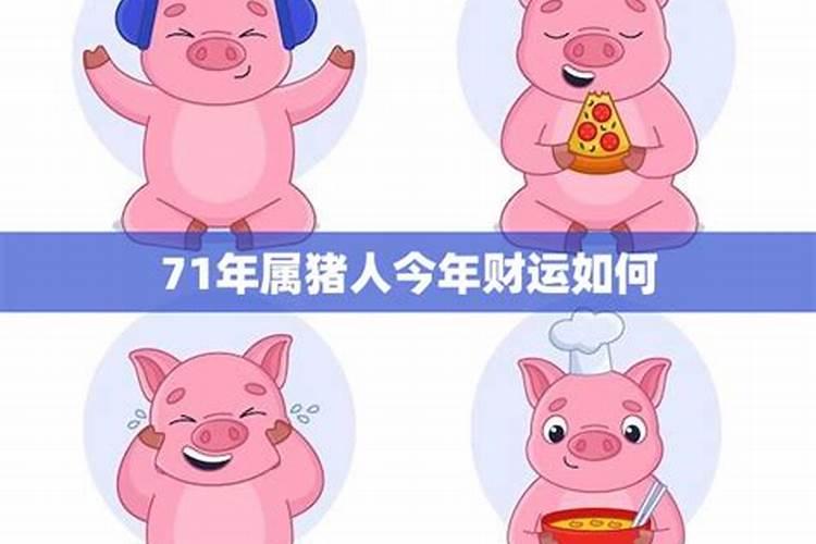 71年属猪男在2025年的全年运势