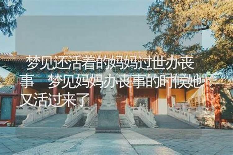 梦见已故的母亲又去世了是什么意思,梦见已故母亲再次去世办丧事