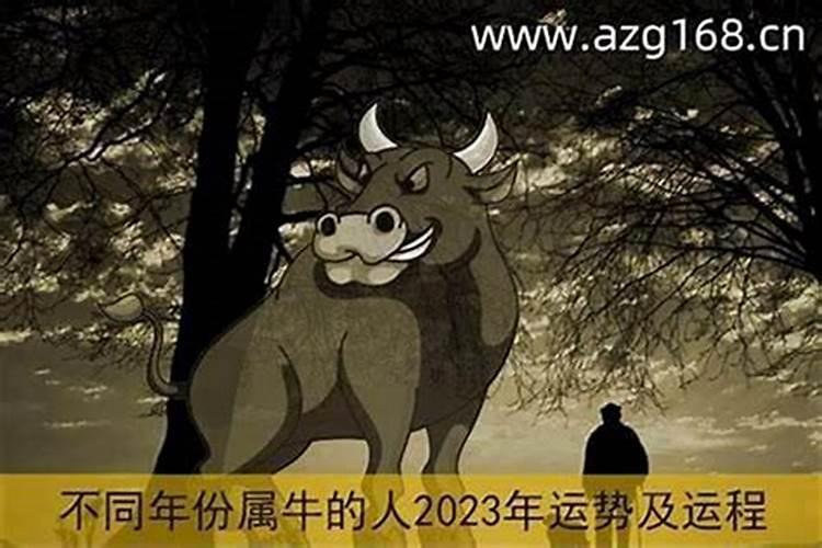 为什么结婚以后运气越来越差,什么都不顺,求大师指点