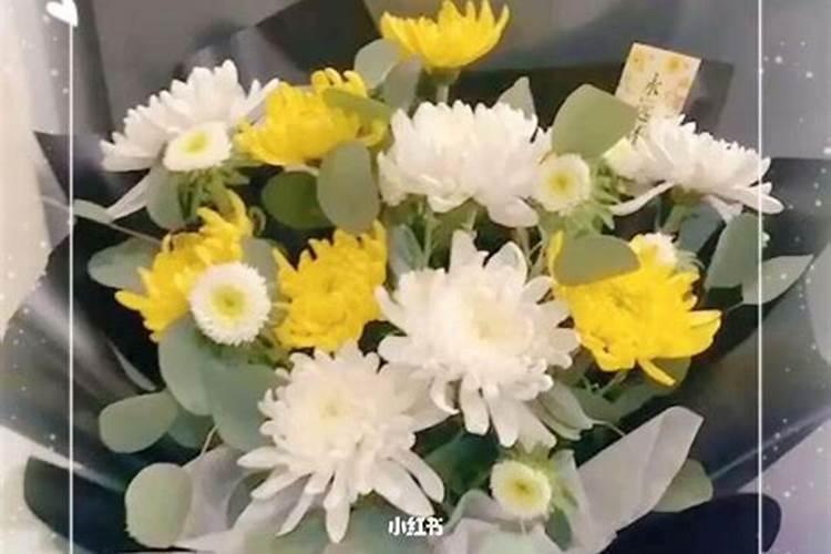 冬至扫墓送什么花