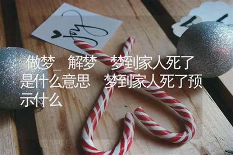 属鼠男人和属兔女人相配吗