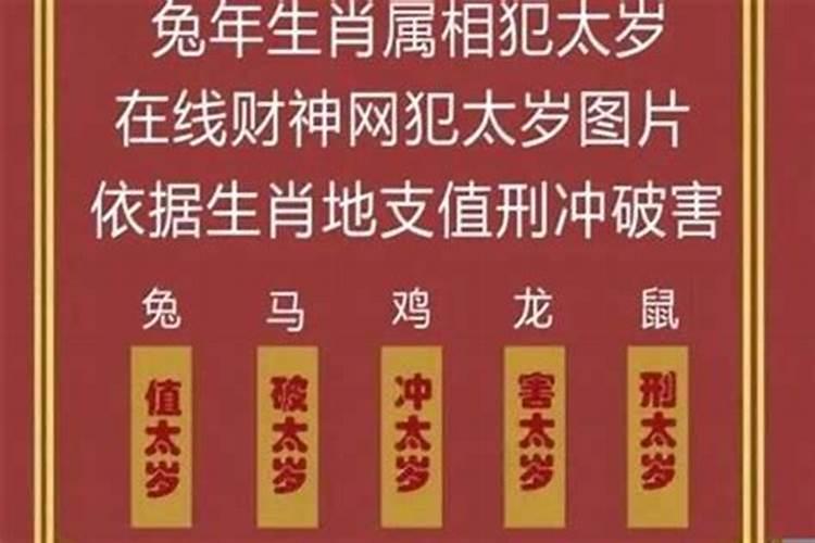 属蛇人什么时候犯太岁 蛇犯太岁带什么好？