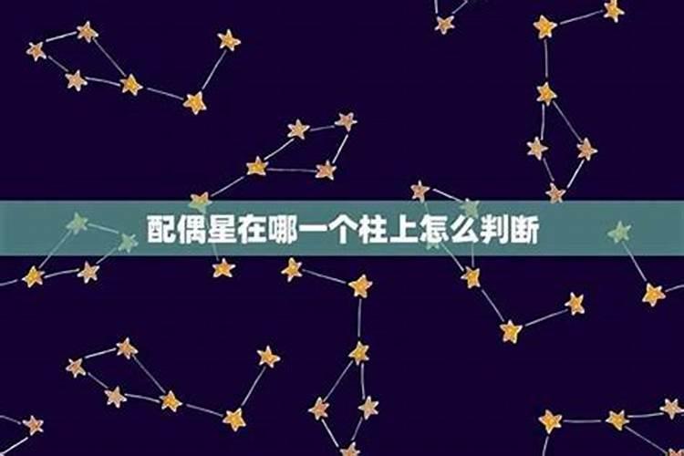 梦见一个女老师喜欢我